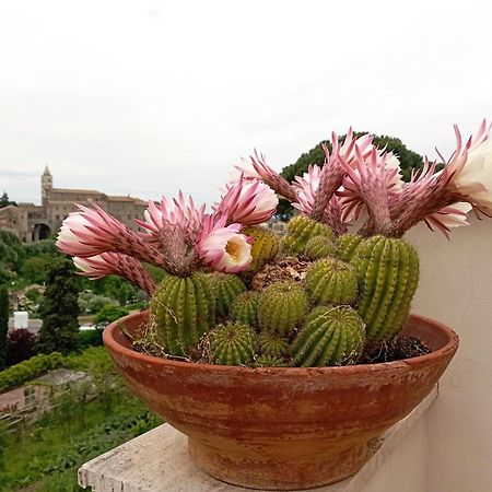 Le Petit Relais Bed & Breakfast Viterbo Exterior photo